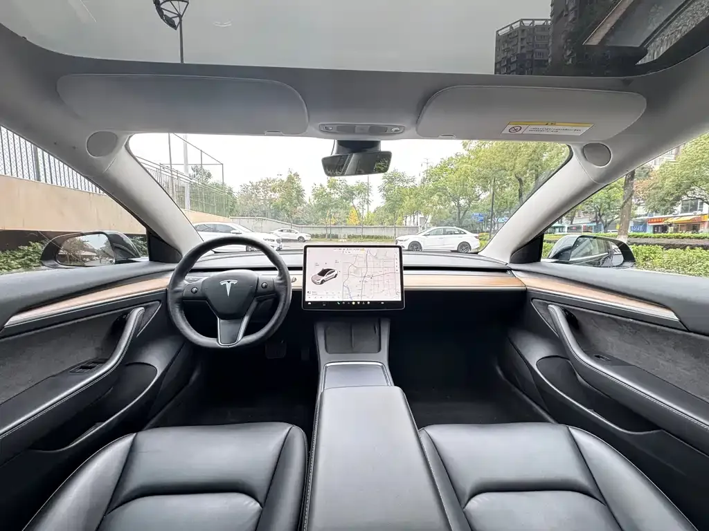 Tesla Model 3 2021 из CN, фото 9