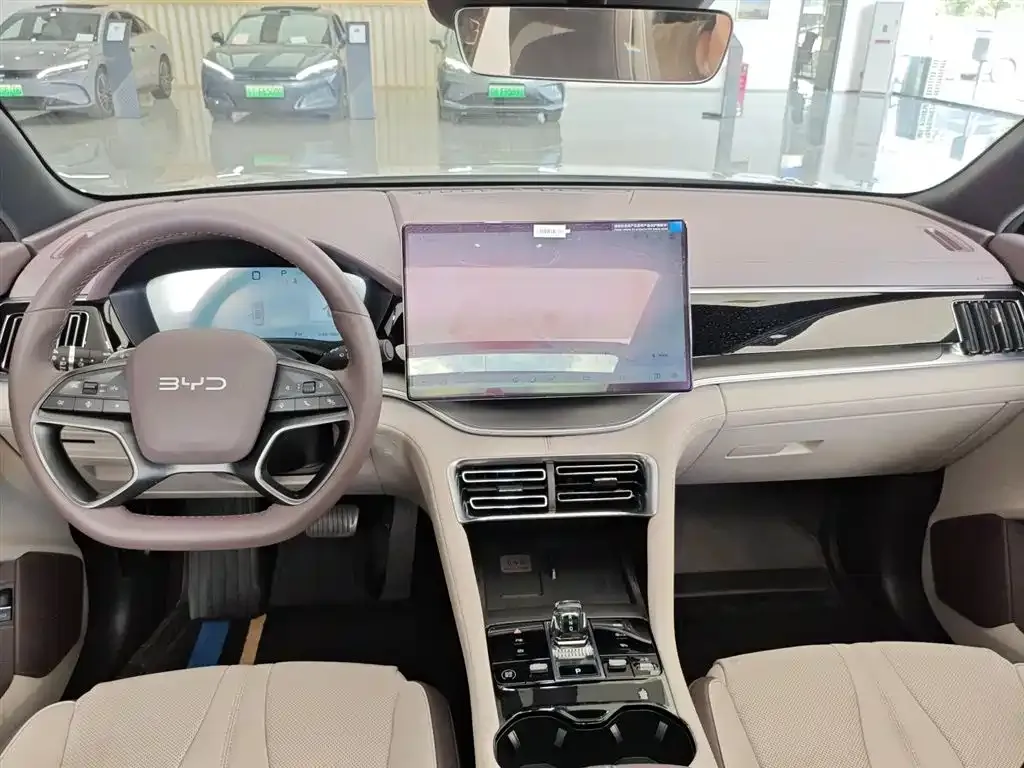 BYD PLUS New Energy — фото 10
