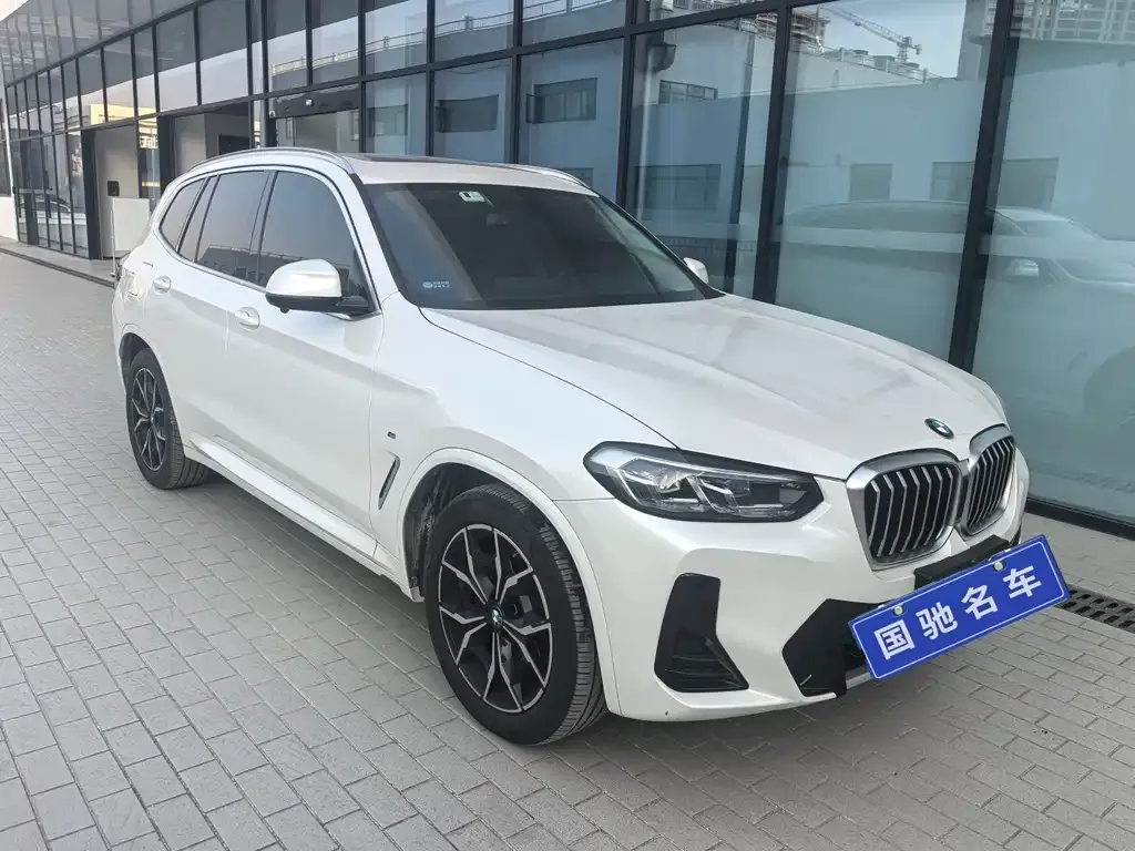BMW X3 2023 из CN, фото 4