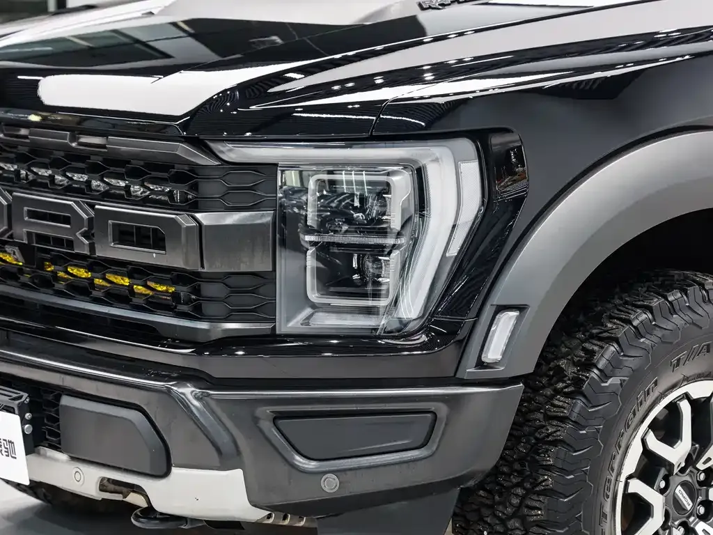 Ford F-150 Raptor 2024 из CN, фото 8