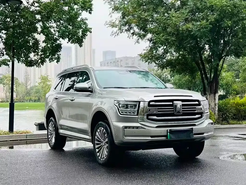 Tank 500 New Energy 2023 из CN, фото 3