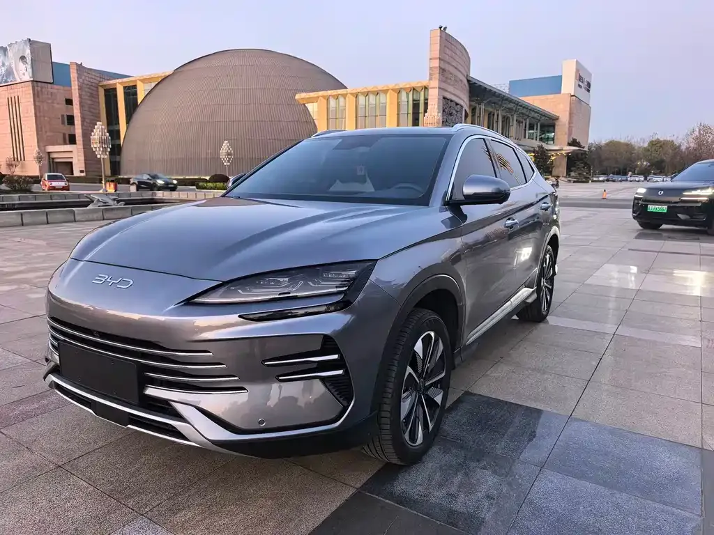 BYD PLUS New Energy 2024 из CN, фото 1