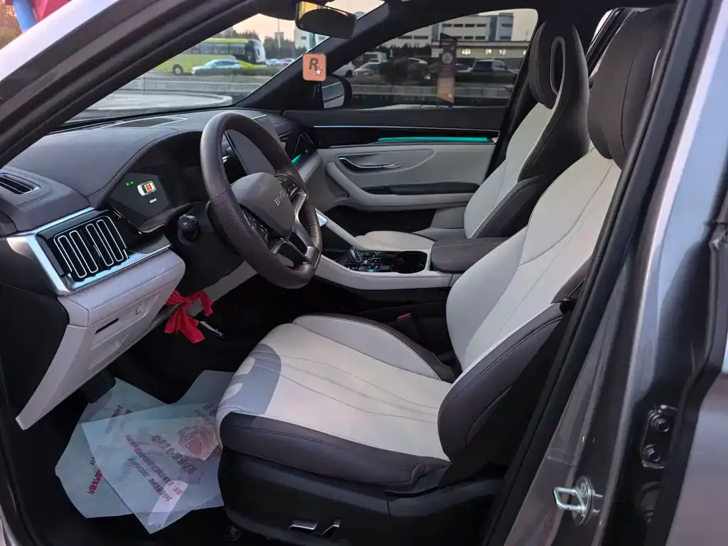 BYD PLUS New Energy 2024 из CN, фото 10