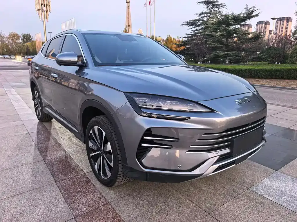 BYD PLUS New Energy 2024 из CN, фото 3