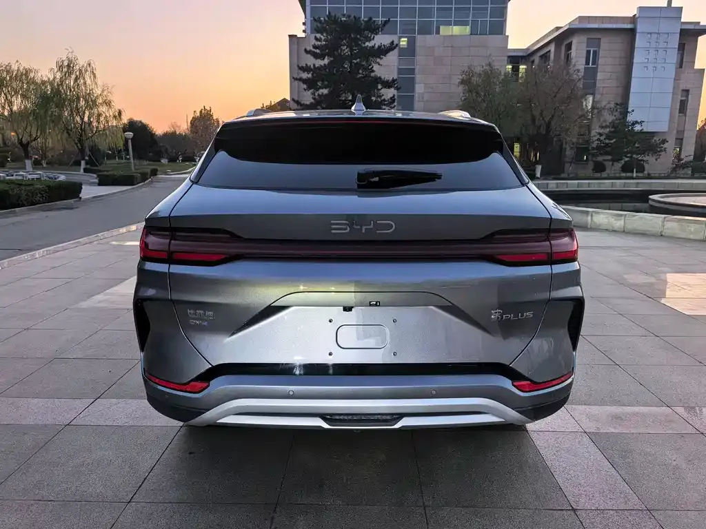 BYD PLUS New Energy 2024 из CN, фото 5