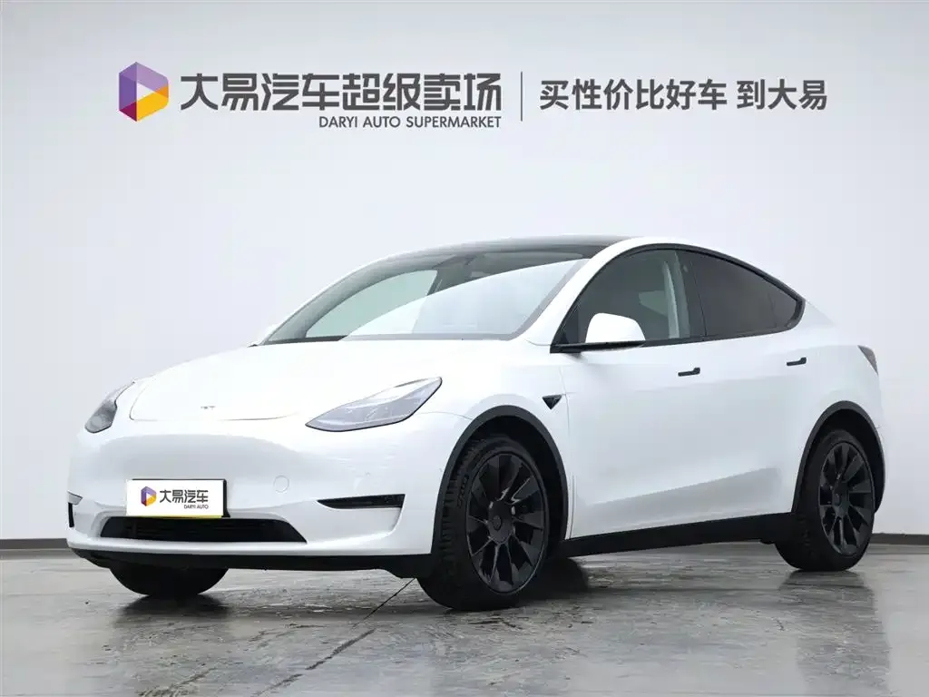 Tesla Model Y 2021 из CN, фото 1