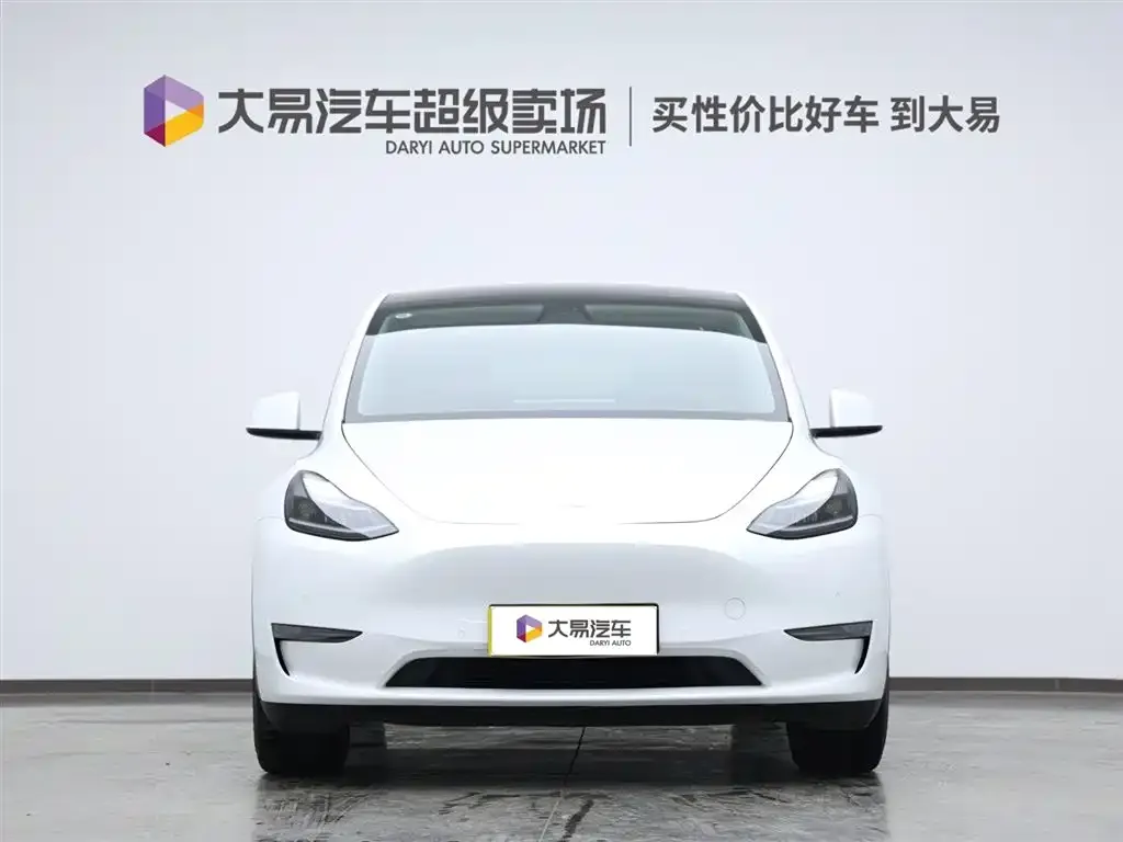 Tesla Model Y 2021 из CN, фото 2