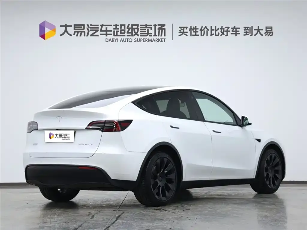 Tesla Model Y 2021 из CN, фото 3