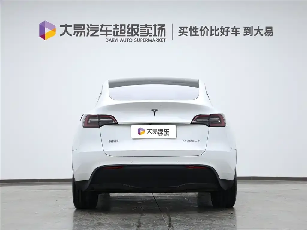 Tesla Model Y 2021 из CN, фото 4