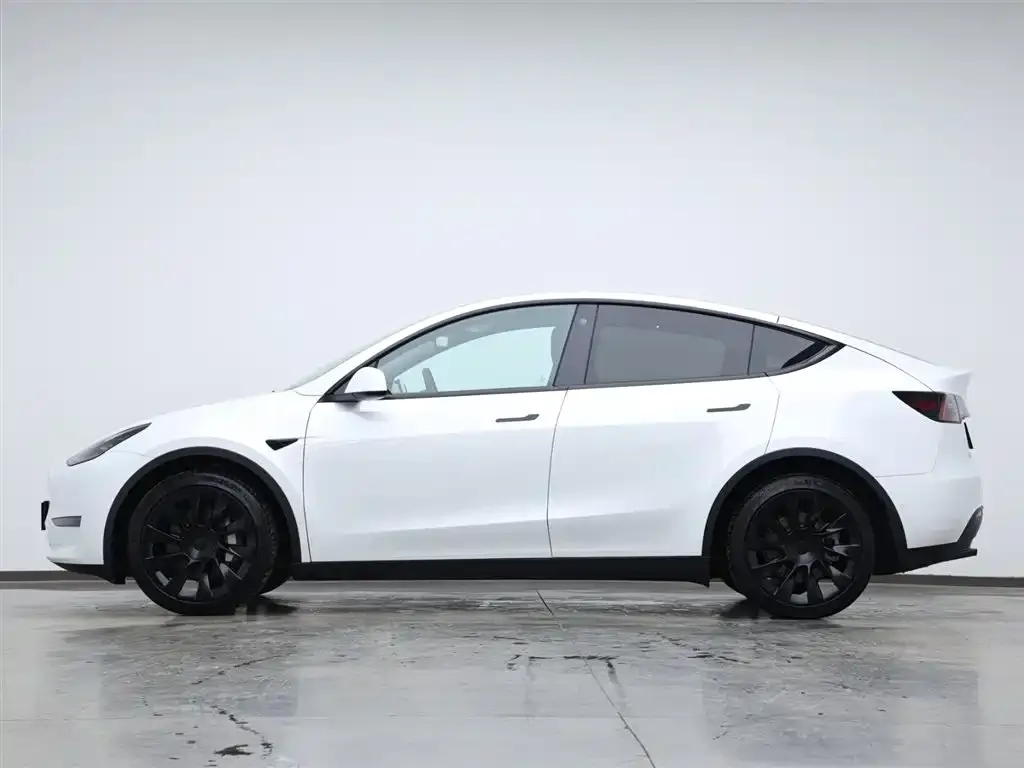 Tesla Model Y 2021 из CN, фото 5