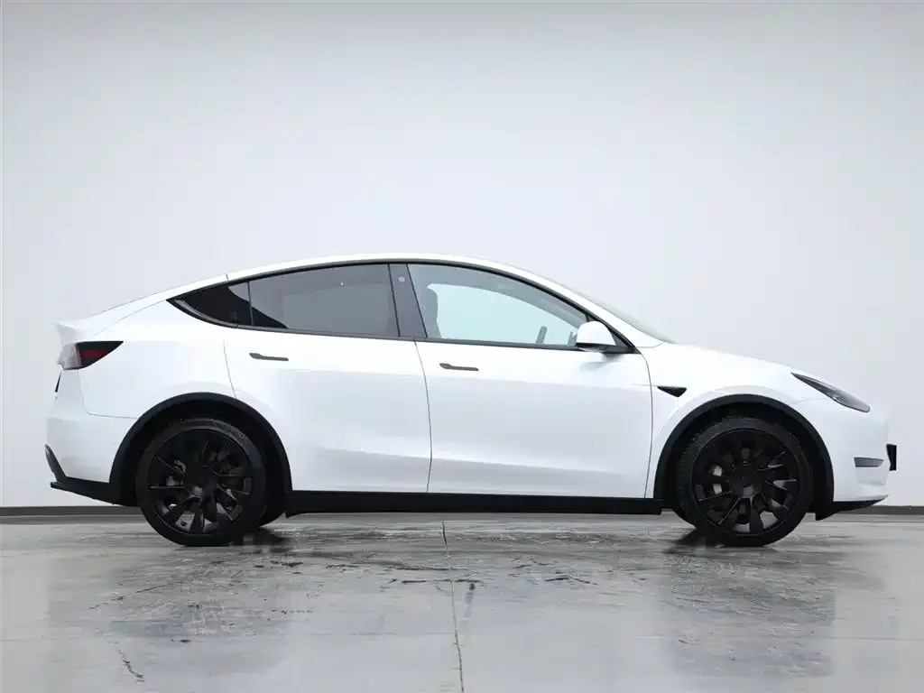 Tesla Model Y 2021 из CN, фото 6