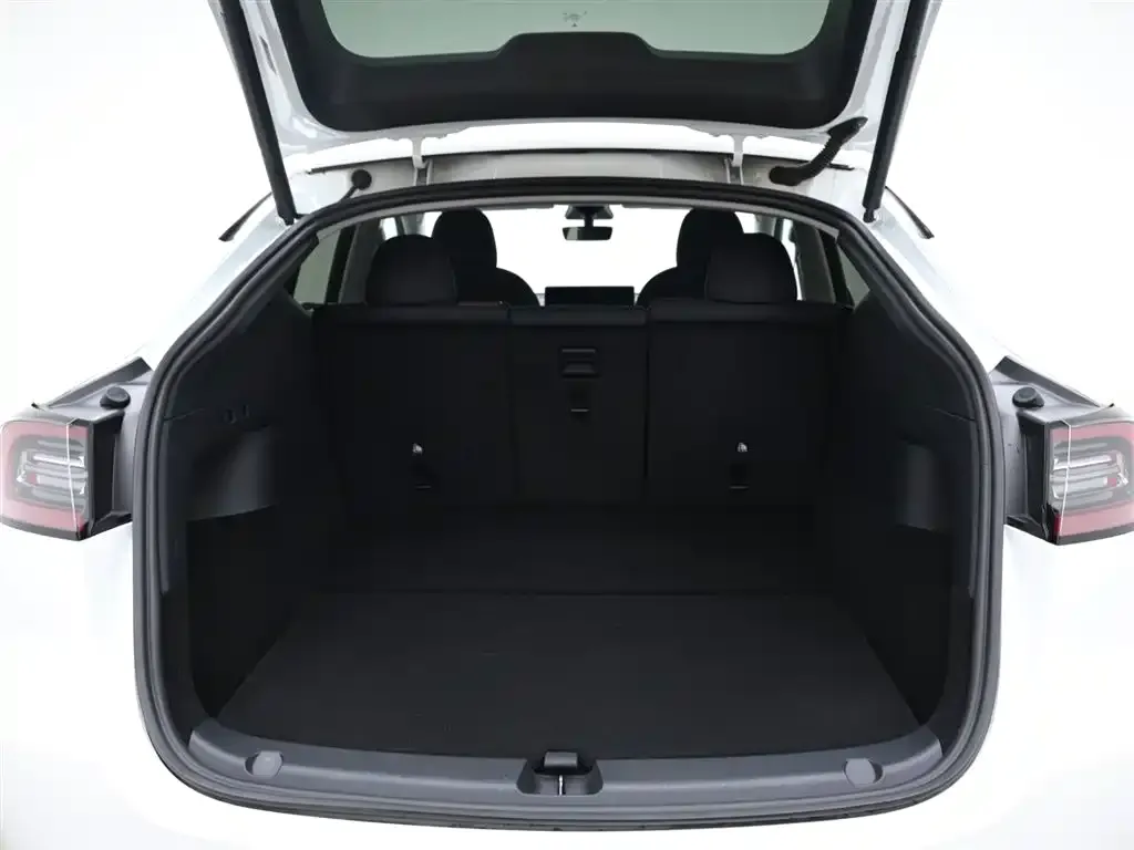 Tesla Model Y 2021 из CN, фото 8