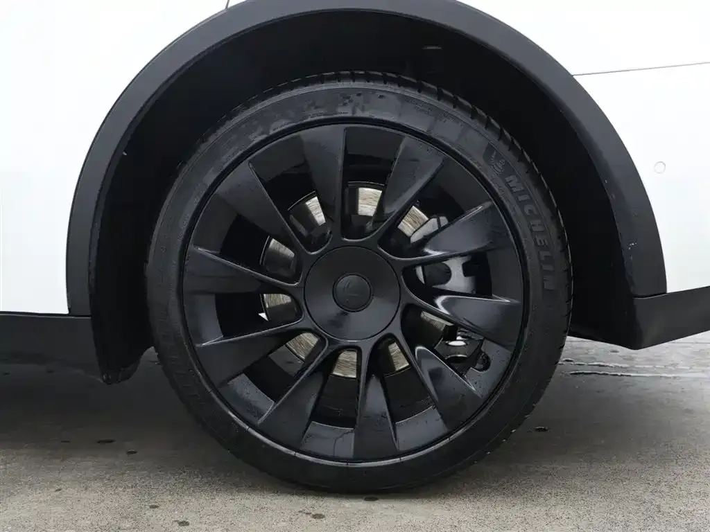 Tesla Model Y 2021 из CN, фото 9