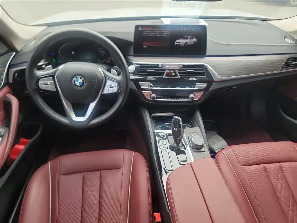 BMW 5 Series 2023 из CN, фото 10