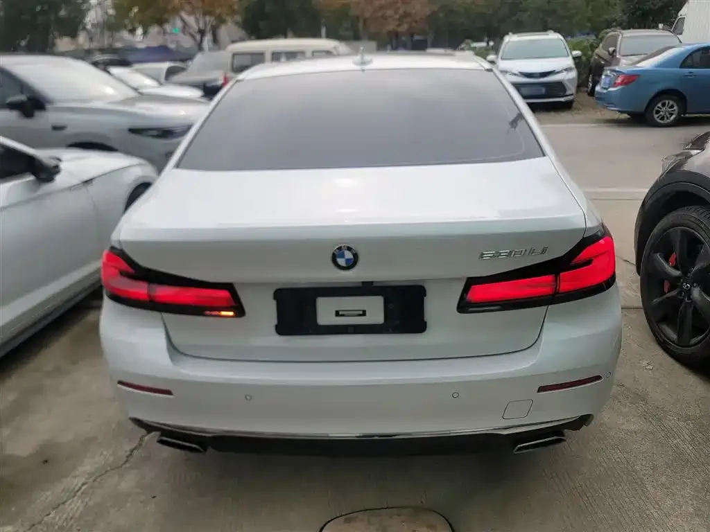 BMW 5 Series 2023 из CN, фото 6