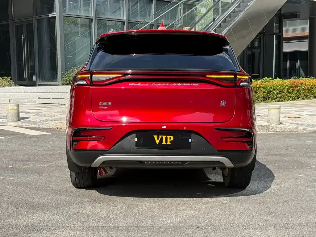 BYD Tang New Energy 2021 из CN, фото 6