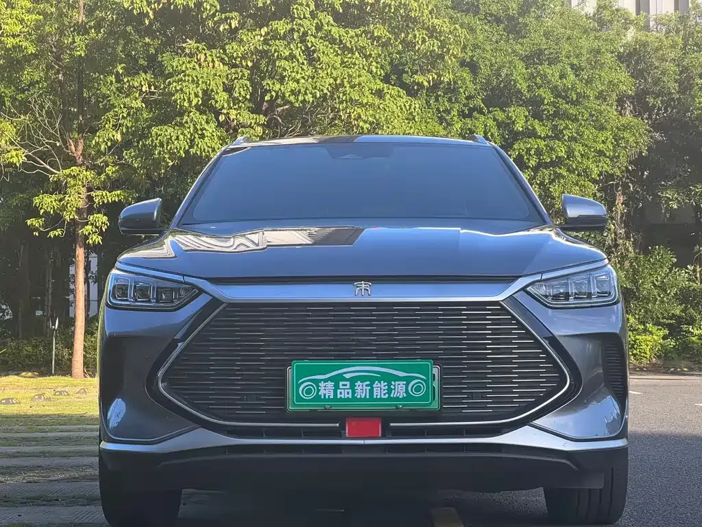 BYD PLUS New Energy — фото 2