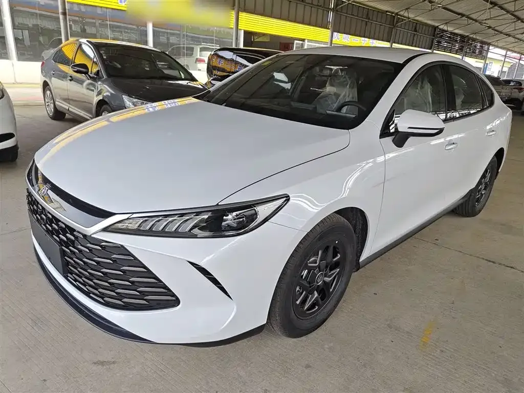 BYD Qin PLUS 2025 из CN, фото 1