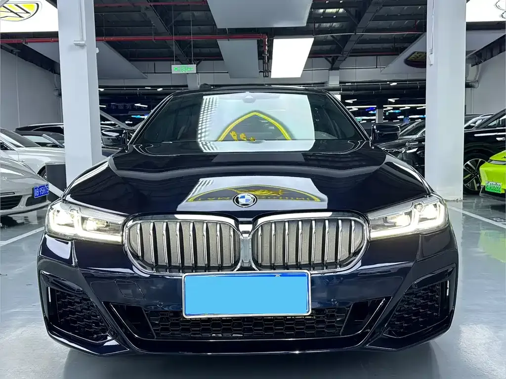 BMW 5 Series 2023 из CN, фото 2