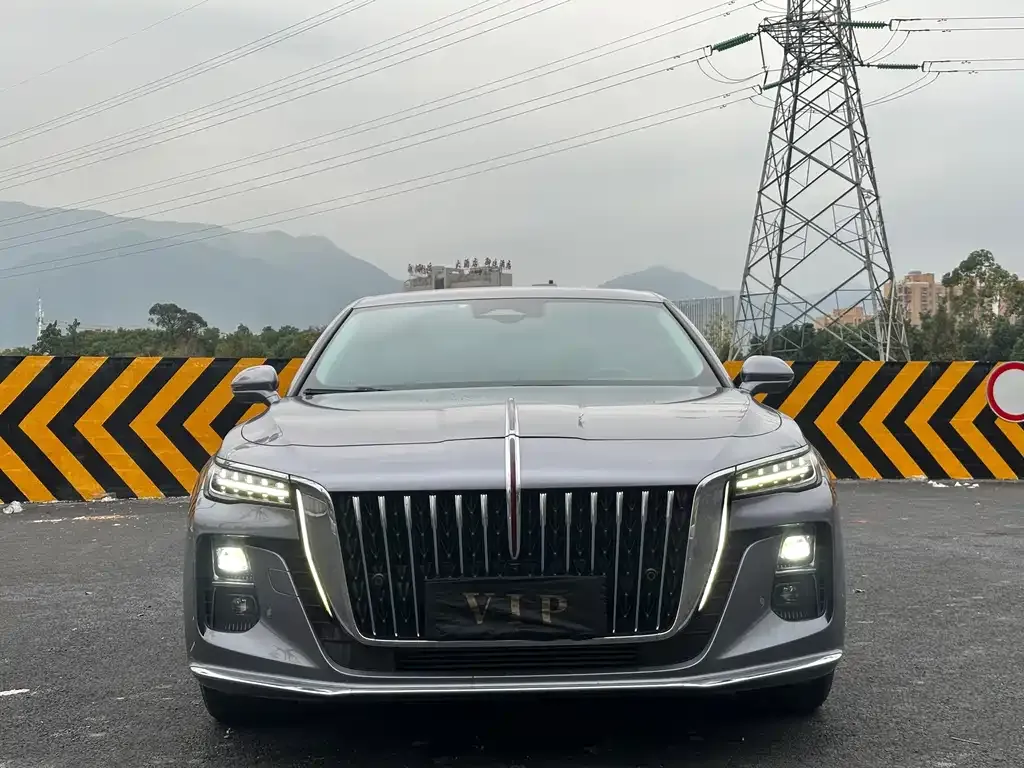 Hongqi H5 2023 из CN, фото 2