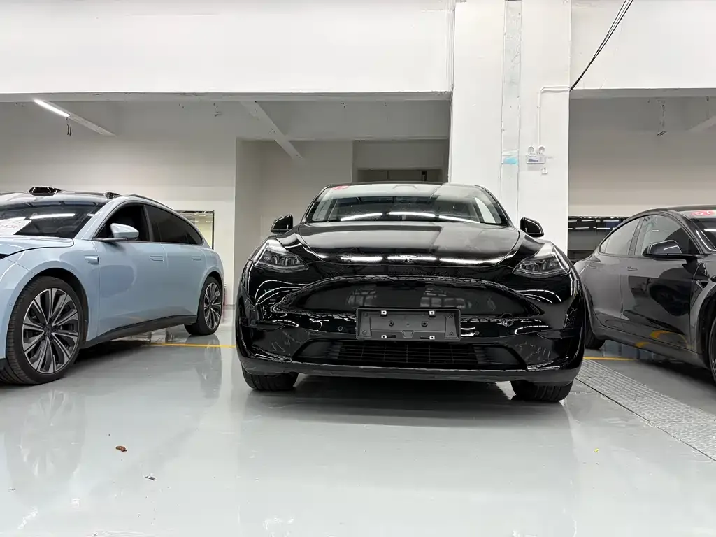 Tesla Model Y 2023 из CN, фото 2