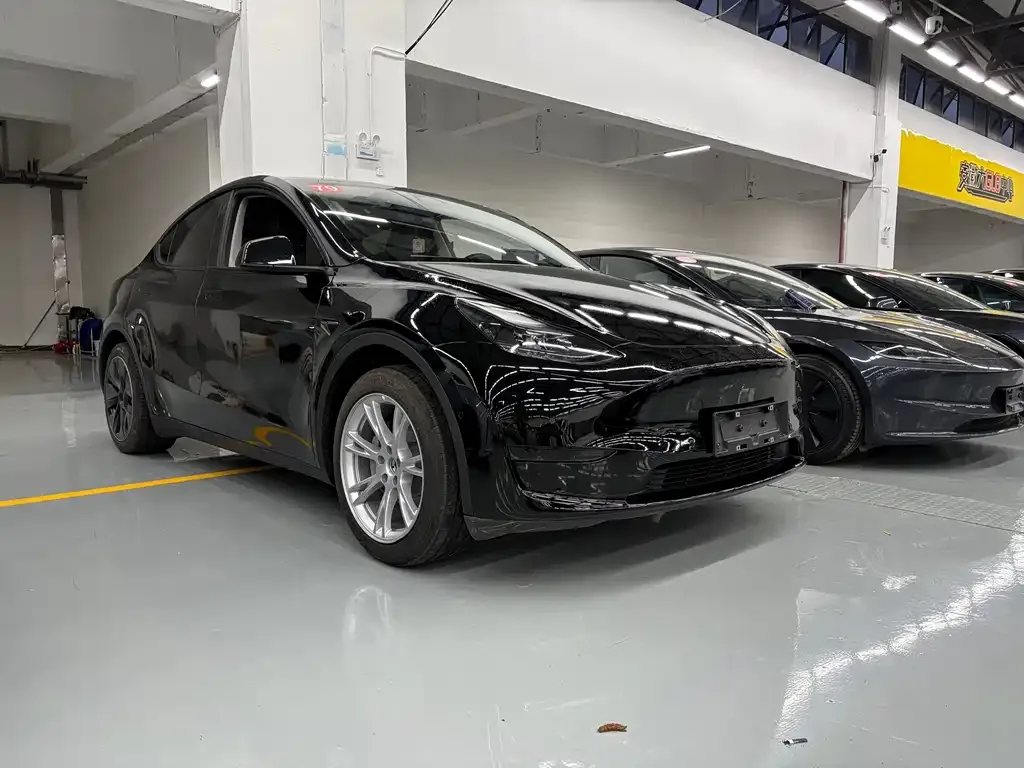 Tesla Model Y 2023 из CN, фото 3