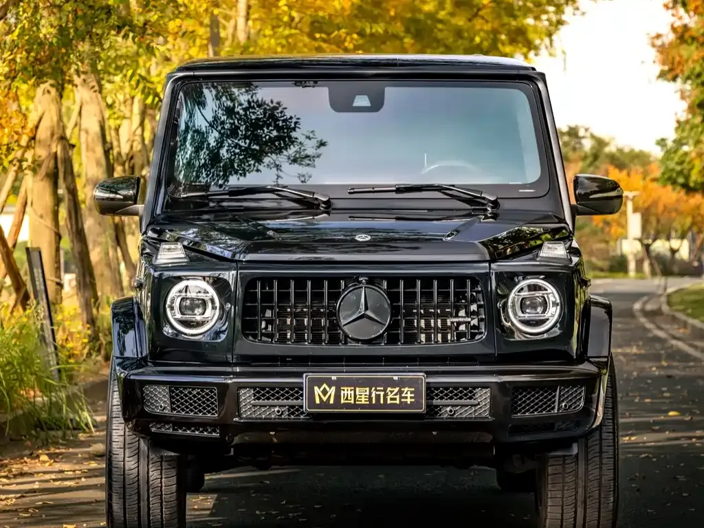 Mercedes-Benz G-Class 2022 из CN, фото 2