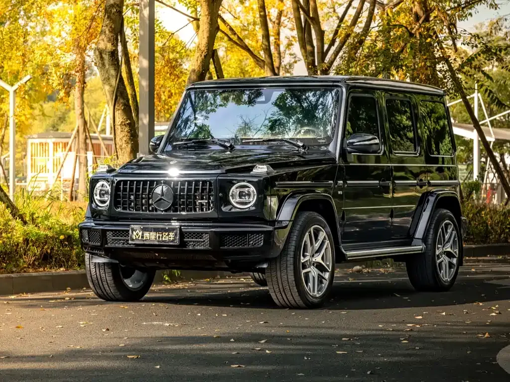 Mercedes-Benz G-Class 2022 из CN, фото 4