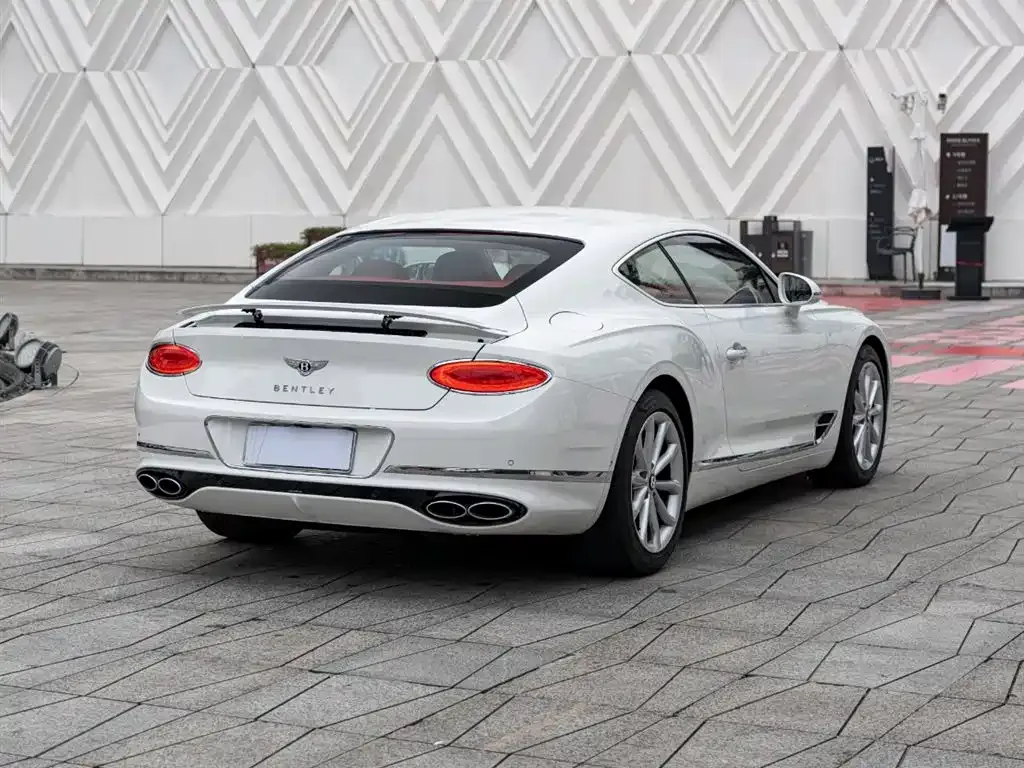 [object Object] Continental 2021 из CN, фото 4