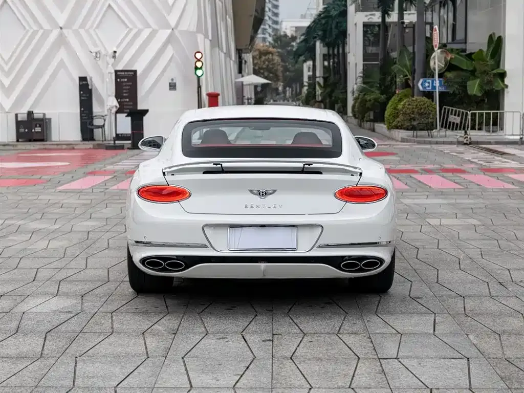 [object Object] Continental 2021 из CN, фото 5