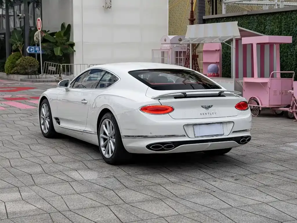 [object Object] Continental 2021 из CN, фото 6