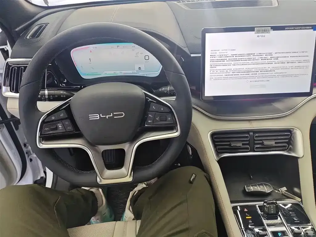 BYD PLUS New Energy 2025 из CN, фото 10