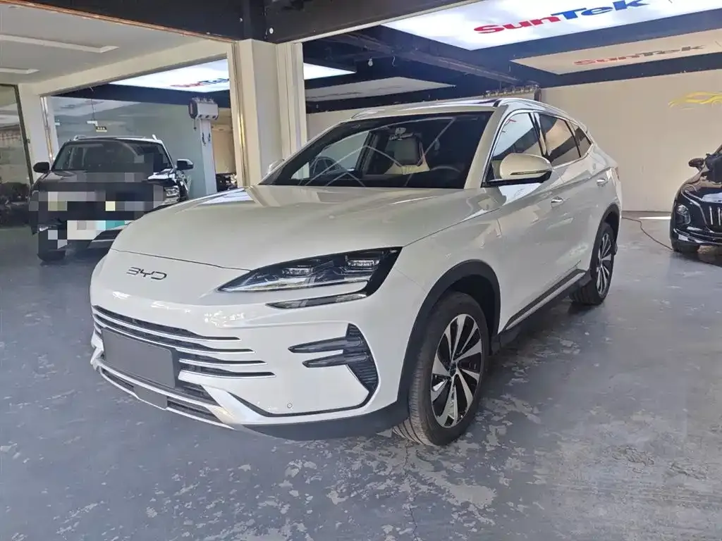 BYD PLUS New Energy 2025 из CN, фото 2