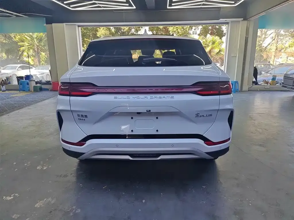 BYD PLUS New Energy 2025 из CN, фото 6