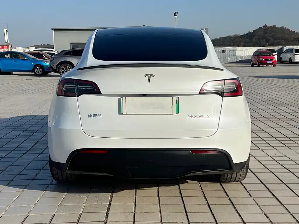 Tesla Model Y 2024 из CN, фото 5