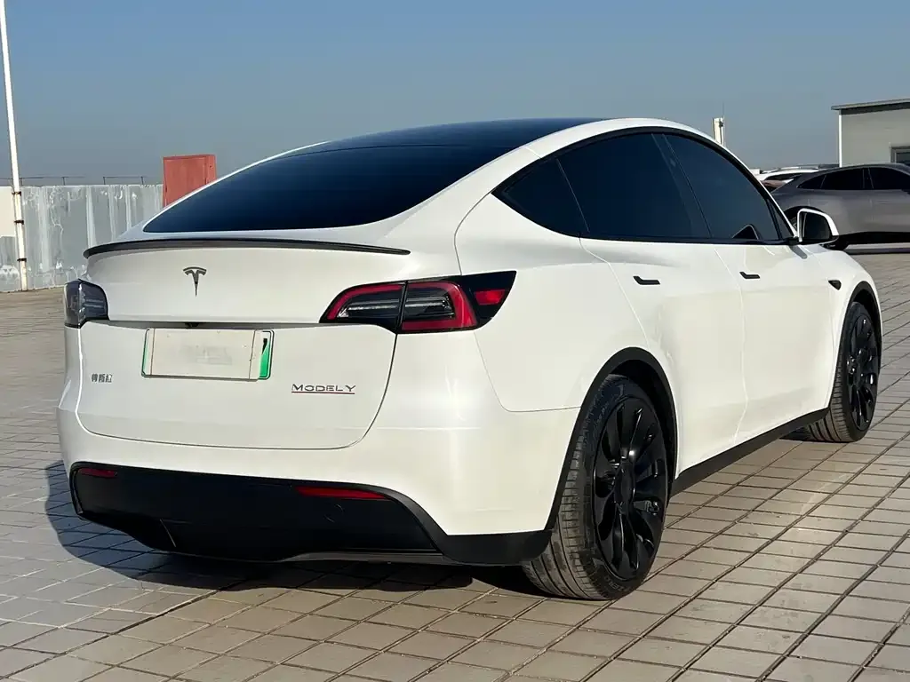 Tesla Model Y 2024 из CN, фото 6