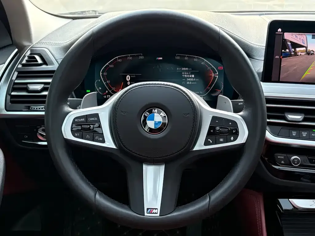 BMW X4 2024 из CN, фото 2