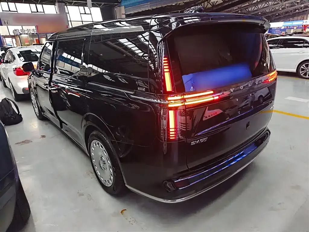 Volvo EM90 2024 из CN, фото 5