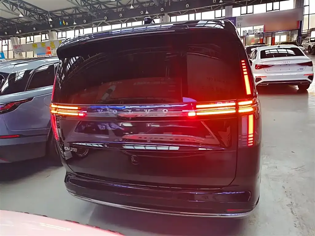 Volvo EM90 2024 из CN, фото 6
