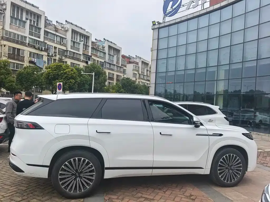 Chery Tiggo 9 C-DM 2025 из CN, фото 7