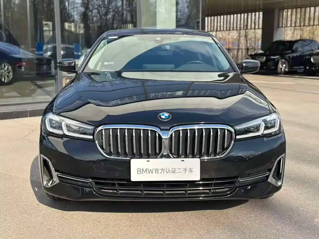 BMW 5 Series 2023 из CN, фото 2