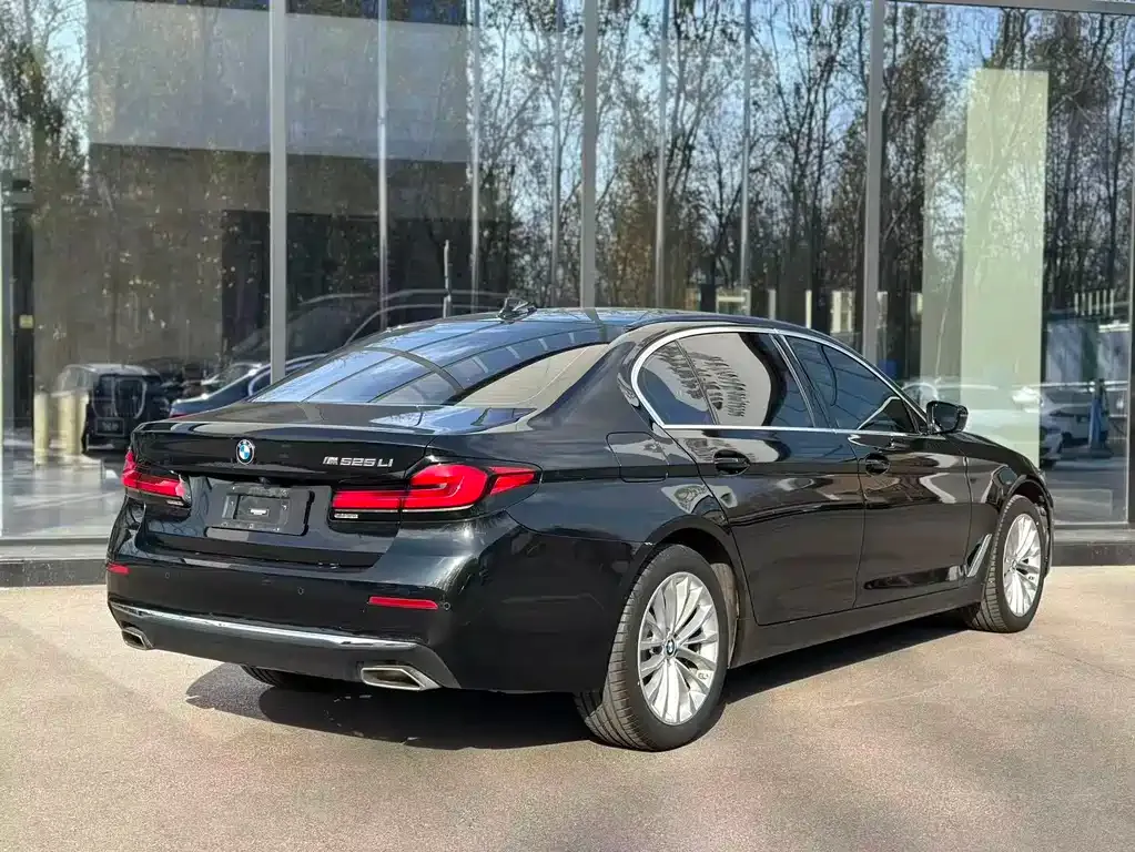 BMW 5 Series 2023 из CN, фото 4