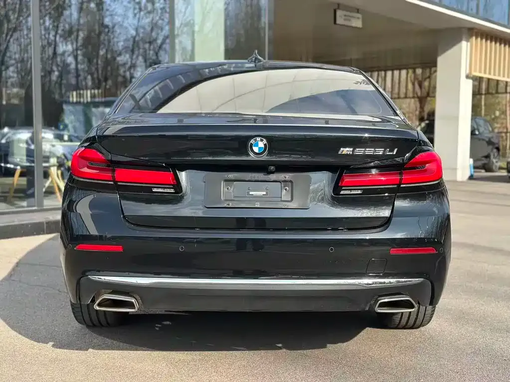 BMW 5 Series 2023 из CN, фото 5