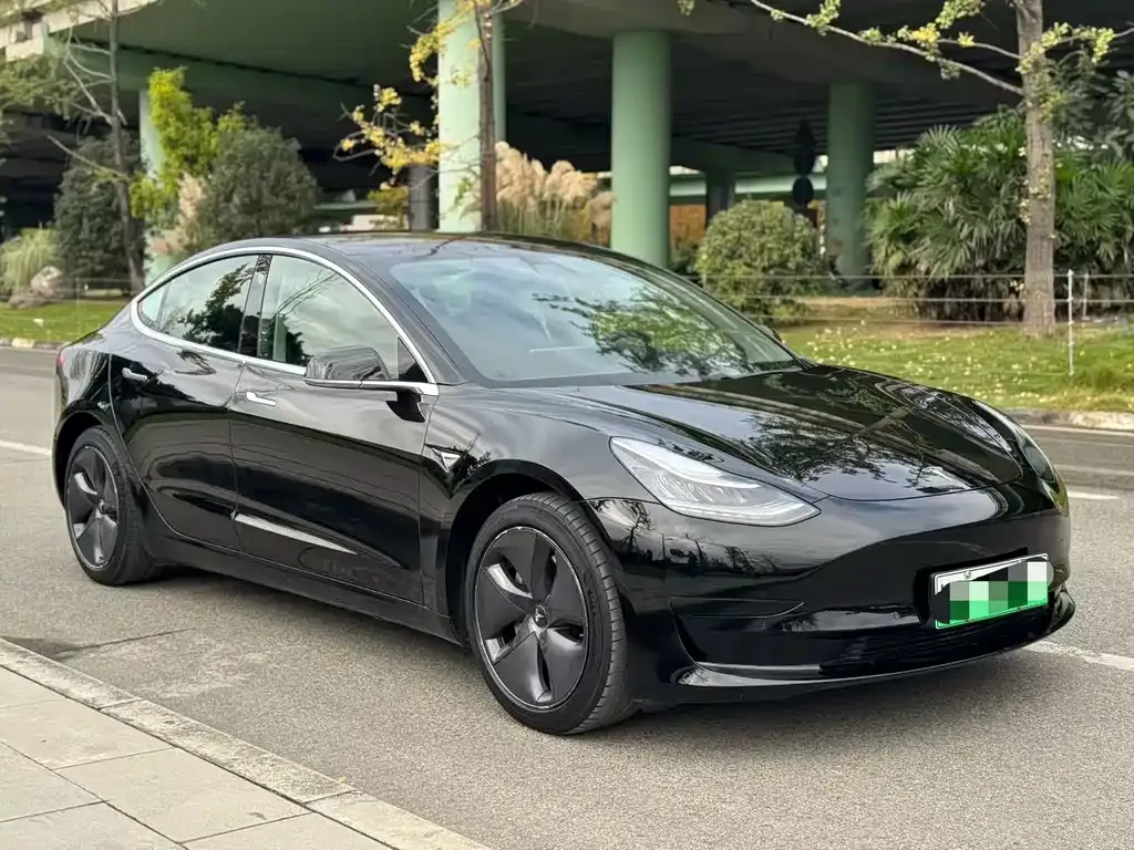 Tesla Model 3 2021 из CN, фото 3