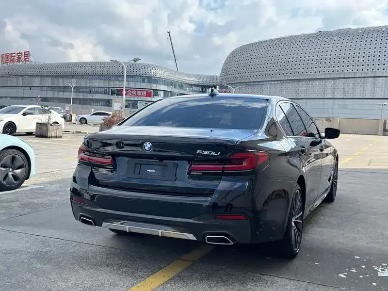 BMW 5 Series 2023 из CN, фото 10