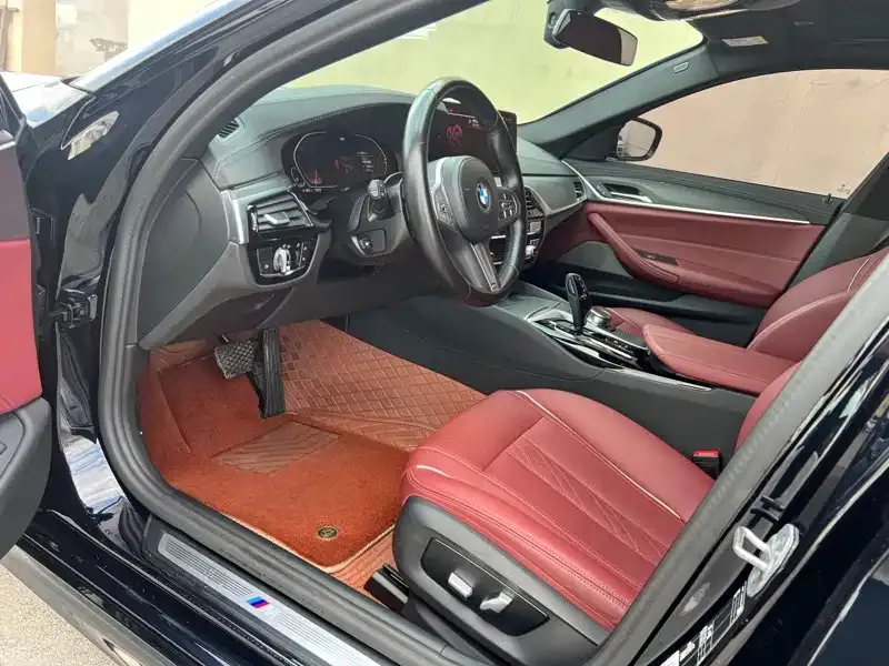 BMW 5 Series 2023 из CN, фото 4