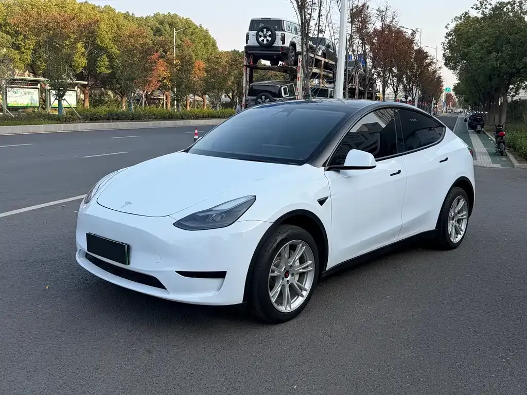 Tesla Model Y 2023 из CN, фото 1