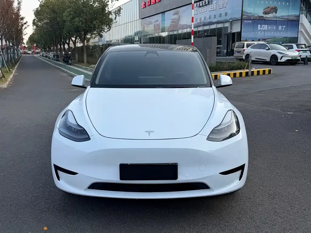 Tesla Model Y 2023 из CN, фото 2