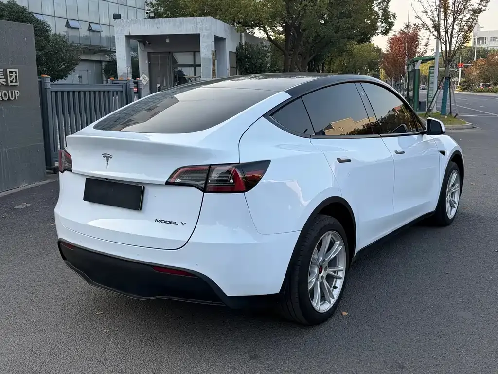 Tesla Model Y 2023 из CN, фото 5