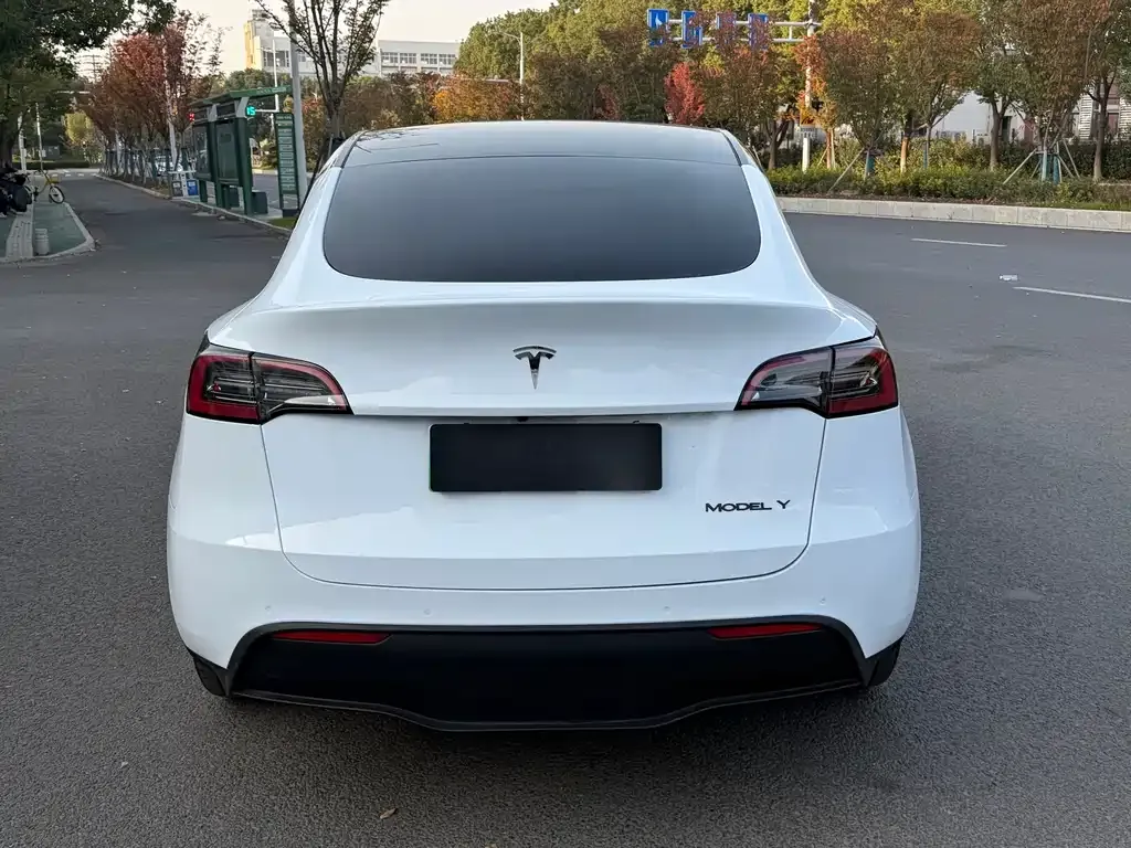 Tesla Model Y 2023 из CN, фото 6